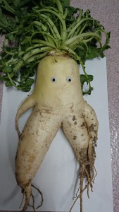記事画像